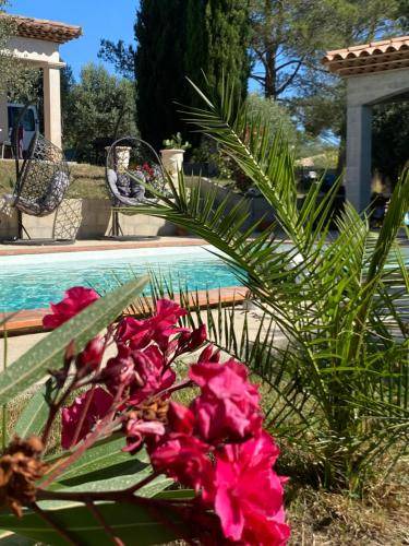 La Motte House | 18 m² House ∙ 1 bedroom ∙ 2 guests