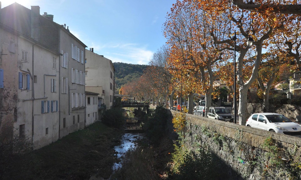 Collobrieres House | 2 bedroom amazing home in Collobrières