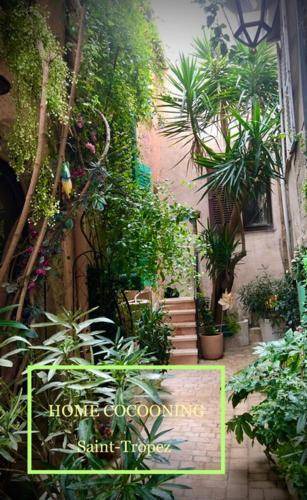 Old Town Apartment | 40 m² Apartment ∙ 1 bedroom ∙ 2 guests