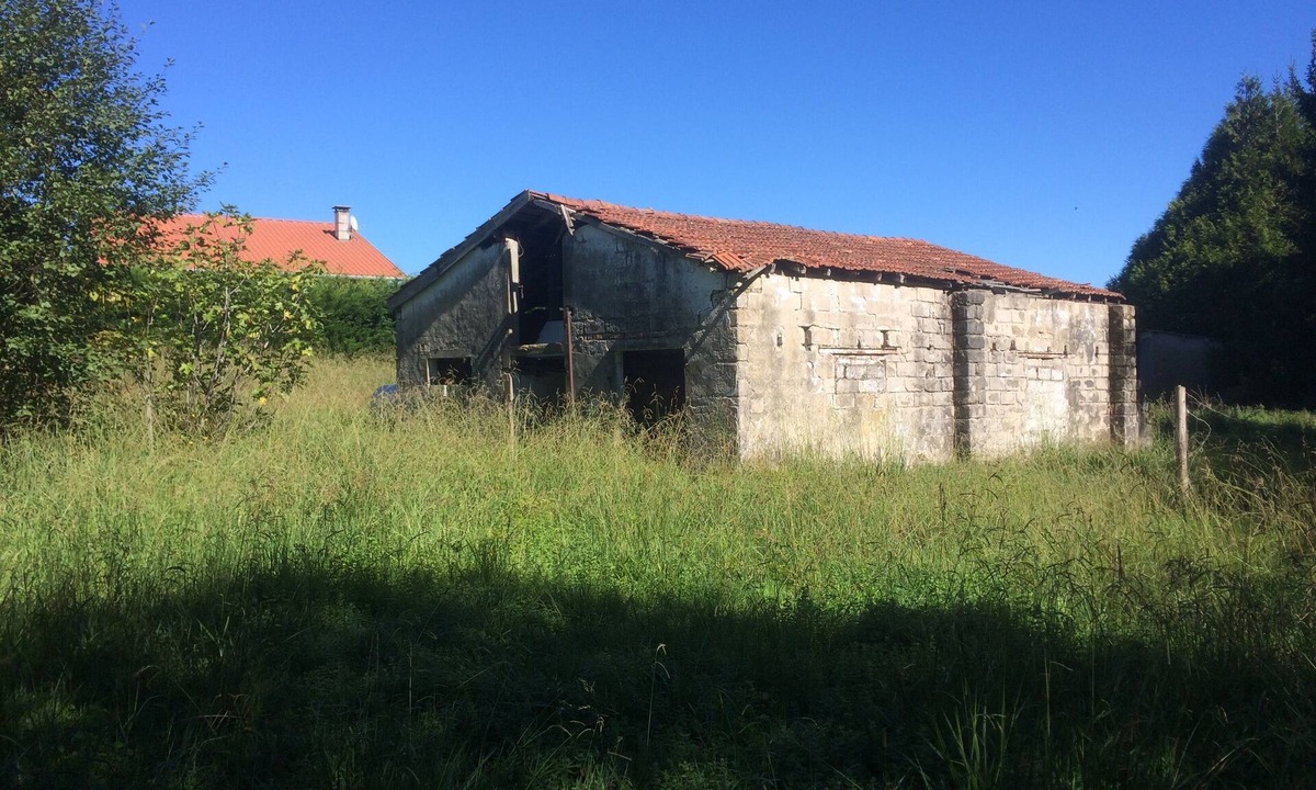 Belus House | 90m2 holiday home in the middle of kiwi fields and corn