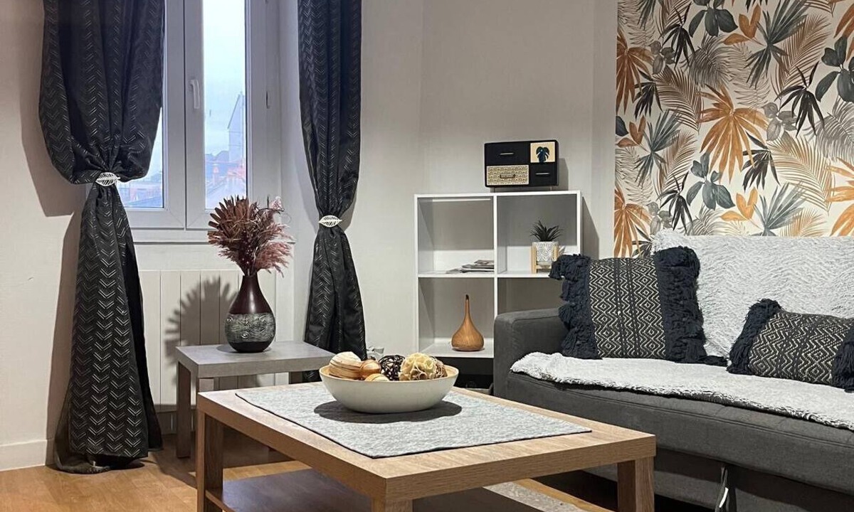 Saint-Serge Apartment | Apartment for 2/3 people - Ney District, Angers