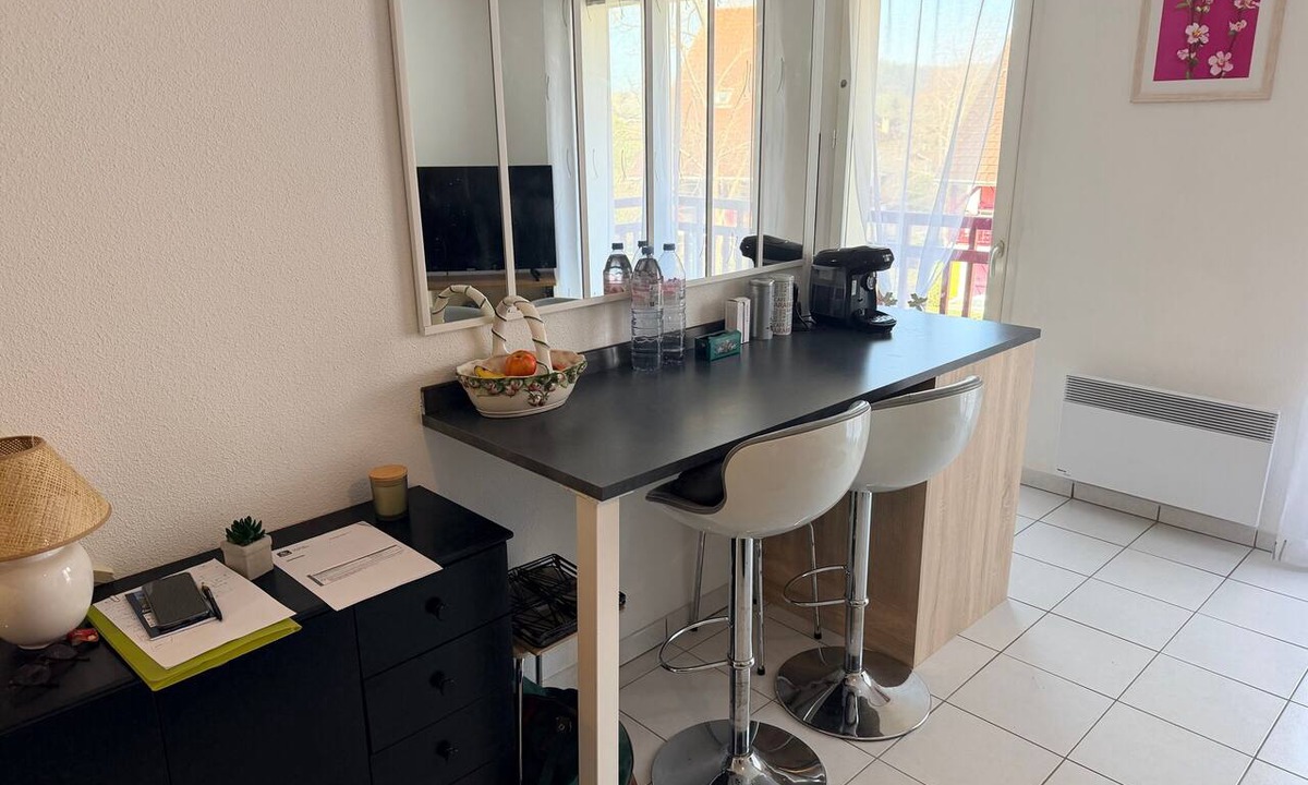 Salies-de-Bearn Apartment | Apartment "T2 Les Mimosas" with Balcony