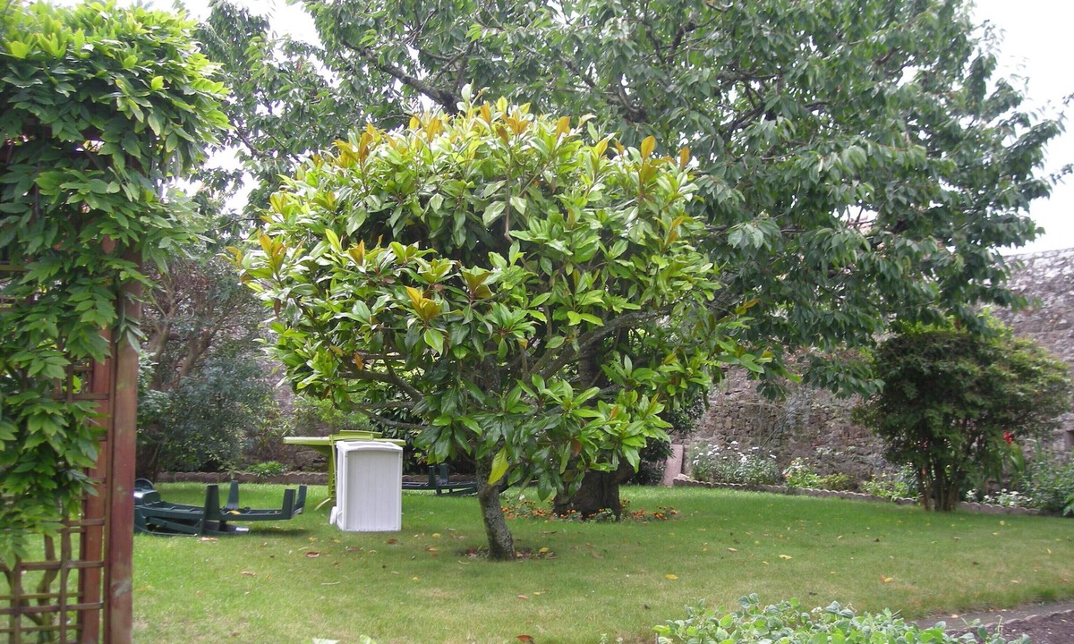 Port-Louis Apartment | Appartement Dans Maison de Caractère Avec Très Beau Jardin Arboré