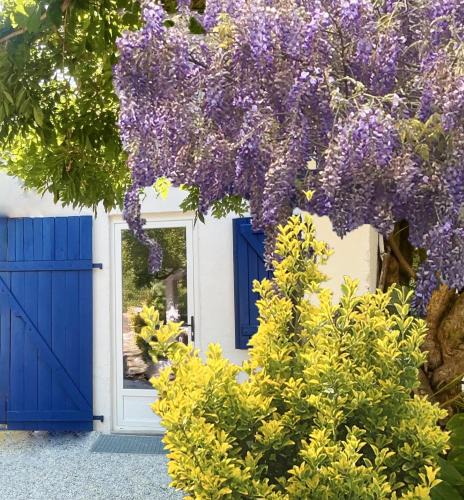 Mees House | C'est une maison bleue adossée à la forêt - longue durée possible