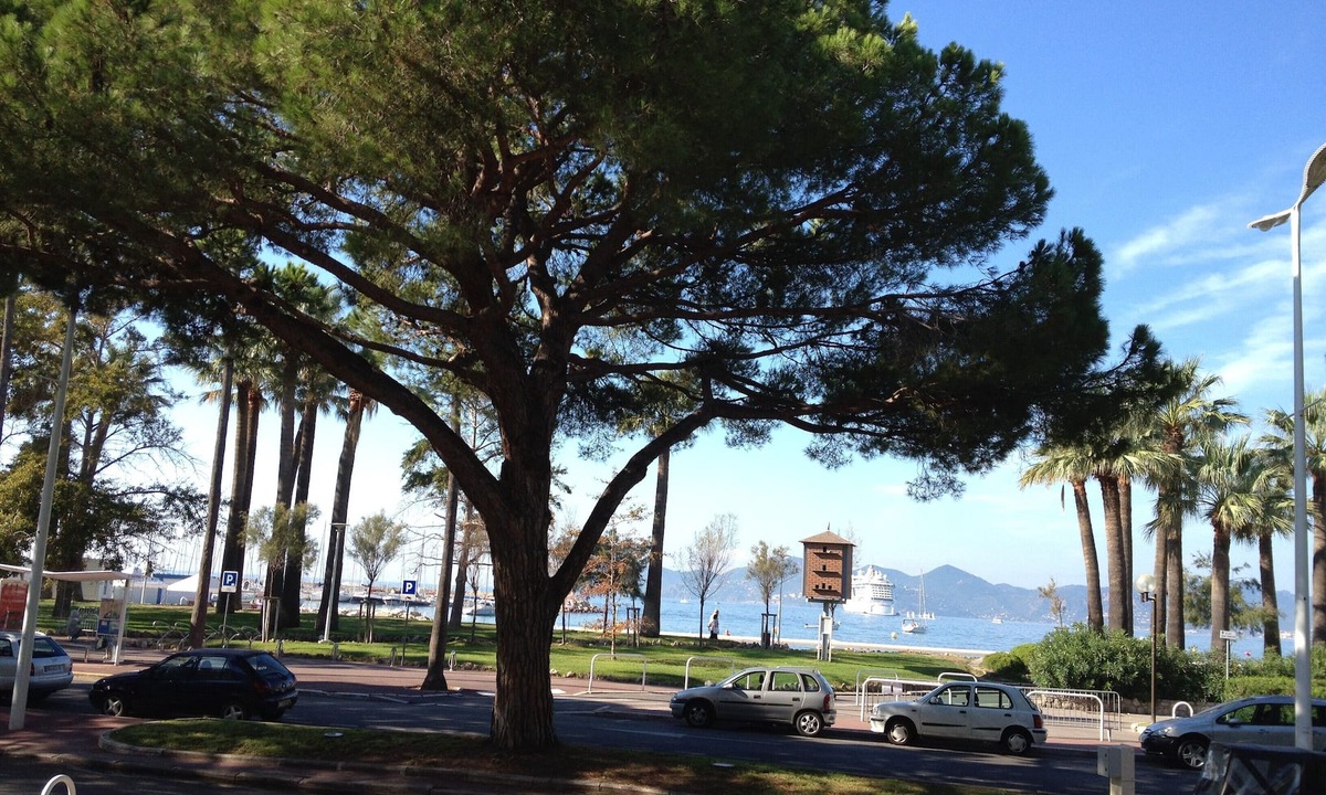 Pointe Croisette Apartment | Cannes, apartment, large terrace, garden, direct access to Croisette and beaches