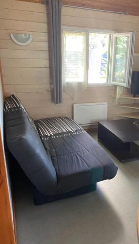 Lissac-sur-Couze Ski Chalet | Chalet climatisé avec piscine et lac à proximité