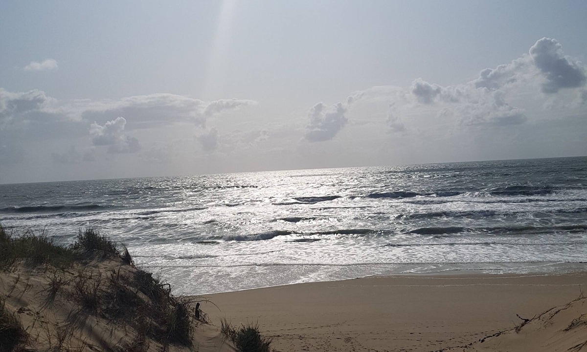 Montpellier de Medillan Villa | Charming longère between ocean and countryside - up to 12 people