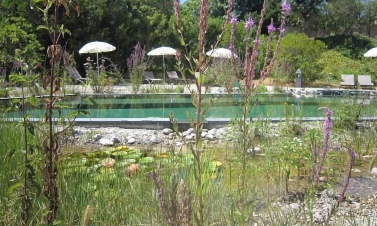 Les Restanques House | Holiday apartment Grimaud for 1 - 2 persons - Holiday house