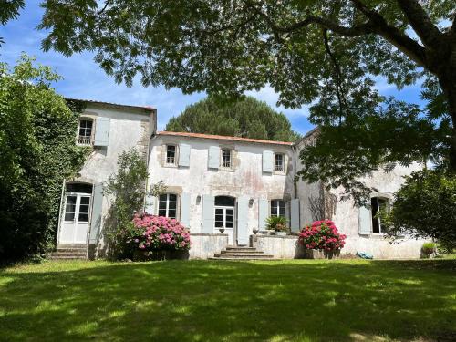 Orthevielle Bed & Breakfast | LA CAVERIE DE PEYROUX A ORTHEVIELLE (40300)