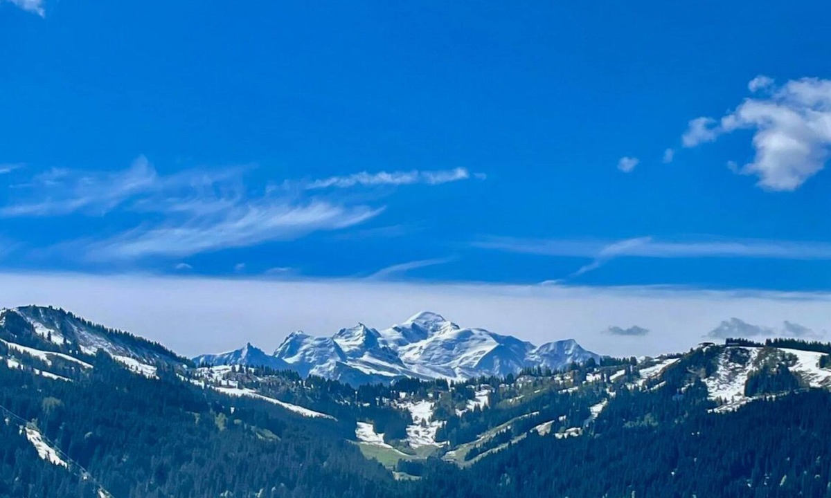 Les Gets Ski Chalet | La Ferme is an old alpine