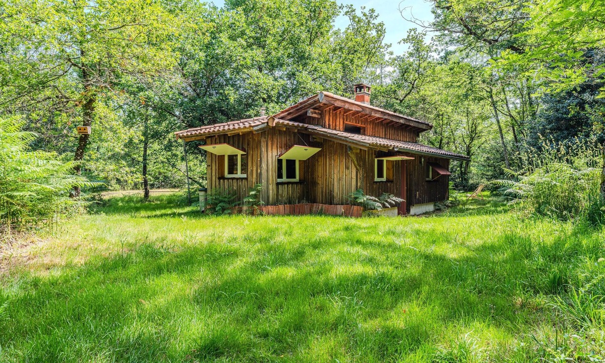 Saint-Symphorien Cabin | La Palombière – A Cozy Cabin for Ultimate Relaxation and Forest Views