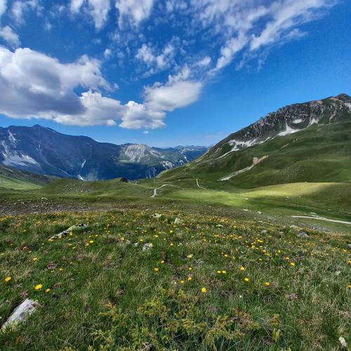 Bourg-Saint-Maurice Apartment | les campanules