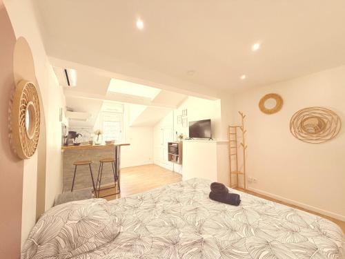 Agen Apartment | Les nids de Lagasse