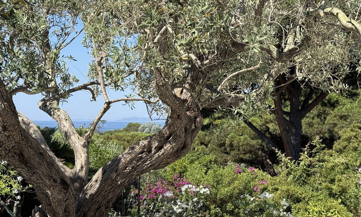 La Croix-Valmer House | Luxury mas 200m from Gigaro beach, 3 air-con bedrooms, near St-Tropez