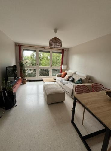 Ile de Nantes Palais des Congres Apartment | Nice Apartment - Terrace Loire view - Nantes city center island