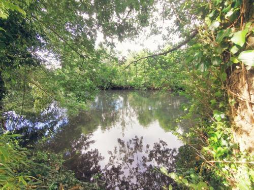 Saint-Maixent-l'Ecole Bed & Breakfast | Omnia