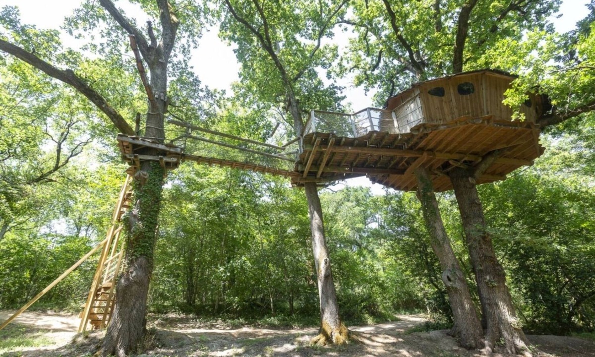 Pierrefitte-sur-Sauldre Cottage | Tree-house Forest Camp 4p