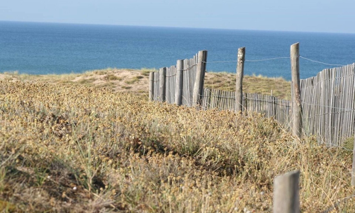 Bretignolles-sur-Mer House | Villa Bretignolles-sur-Mer, 3 bedrooms, 6 persons