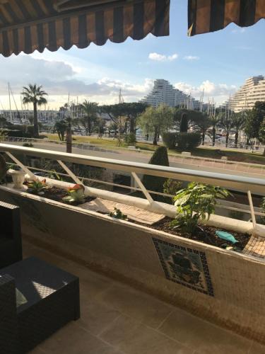 Villeneuve Loubet Beach Apartment | VILLENEUVE LOUBET- MARINA BAIE DES Anges -AU BON VIVRE - 2 pièces- Le Ducal - 60m2 Luxe