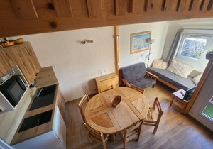 250m from shops, 3rd floor, balcony, tv, ski locker, 31m², Alpe d'Huez