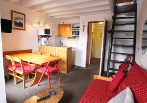 250m from shops, 3rd floor, balcony, tv, ski locker, 43m², Alpe d'Huez