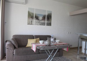 Appartement 2P, 4 couchages, climatisé avec parking à Villeneuve-Loubet Plage - FR-1-252A-30