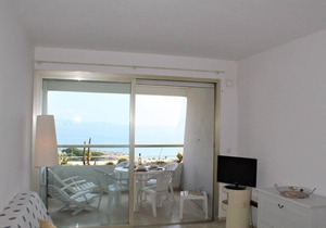 Appartement Villeneuve-Loubet, 1 pièce, 2 personnes - FR-1-252A-8