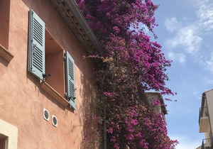 Charming house in the heart of Saint-Tropez