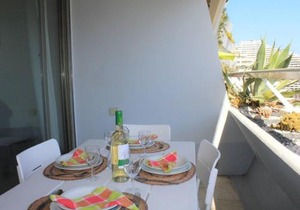 Studio rénové en bord de mer à Villeneuve-Loubet - FR-1-252A-4
