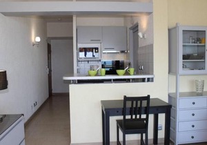 Studio rénové en bord de mer à Villeneuve-Loubet - FR-1-252A-4