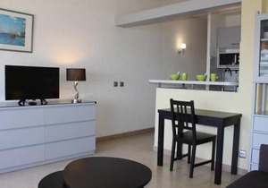 Studio rénové en bord de mer à Villeneuve-Loubet - FR-1-252A-4
