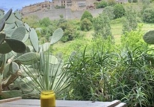 Vue Exceptionnelle sur St Paul de Vence