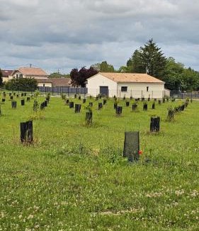 Saint-Ciers-Champagne House | ꕥ Maison Tuber, Havre de paix proche de Jonzac