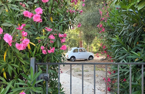 Le Plan-de-Grasse Apartment | 3-room apartment on 1st floor of a "bastide grassoise" in a private estate with swimming pool