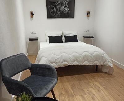 Saint-Aignan House | A 4 min du Zoo de Beauval Chambre pour 2 à 4 personnes