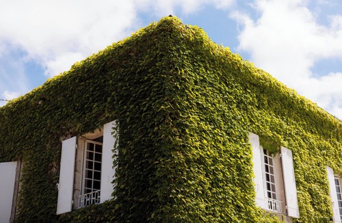 Mortagne-sur-Gironde House | A bucolic interlude in the heart of Charente-Maritime.
