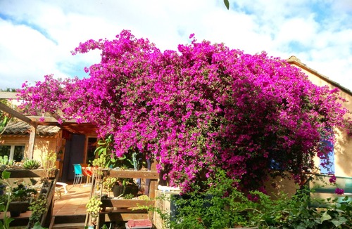 Villeneuve-Loubet Villa | AIR-CONDITIONED, SINGLE-STOREY VILLA, SEA AND CORSICAN VIEWS LARGE GARDEN, DOGS ALLOWED