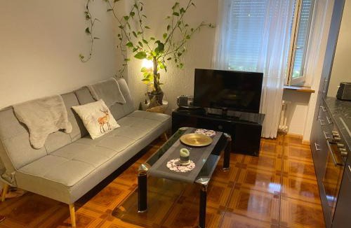 Vorstadte Apartment | Apartment