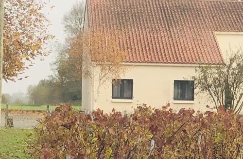 Saint-Philbert-de-Grand-Lieu Apartment | Appartement LOGIS DU CHATEAU DES MARAIS - pour 2 à 3 PERSONNES
