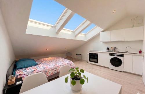La Tronche Apartment | Aria l CLIM l proche hospital