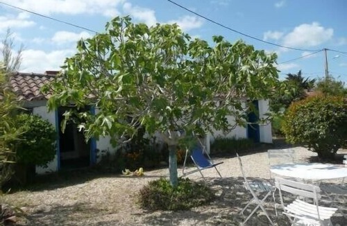 L'Epine House | AUTHENTIC FISHERMAN'S HOUSE AT BLACKMOUTIER NEAR BEACH