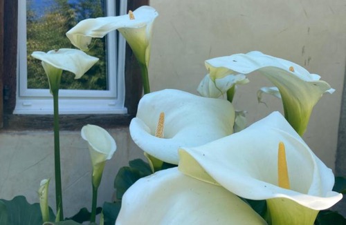 Orthez Bed & Breakfast | B&B - Chambres d'Hôtes Acoucoula
