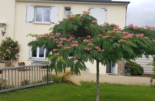 Ambrieres-les-Vallees Apartment | Bed and breakfast in a peaceful location 100 m from the vélofrancette greenway
