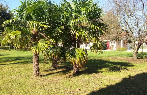 Vensac House | Bright house with large garden near Montalivet Soulac/15 mn from the ocean ☀️