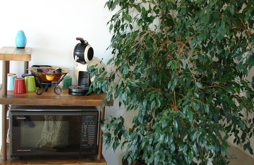 Callian Apartment | Callian - Enchanting view for this beautiful independent studio.