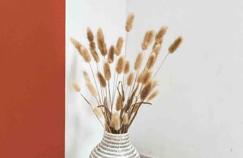 Saint-Serge Apartment | Charmant appartement, proche Jardin des Plantes