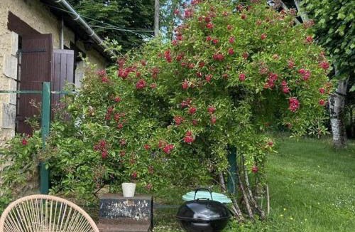 Siorac-en-Perigord House | Charmante maison en Périgord pour 2 avec terrasse privative - FR-1-616-493