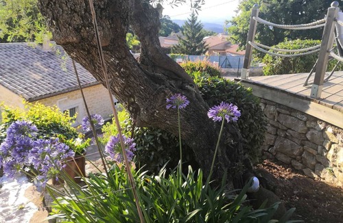 Les Adrets-de-l'Esterel Ski Chalet | CHARMING CHALET WITH ANY COMFORT WITH POOL AND PRIVATE TERRACE