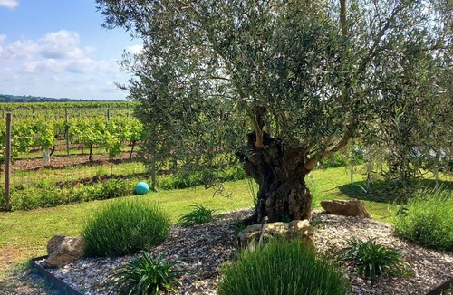 La Courade House | Charming vacation rental for 2 people in the heart of the vineyards. Pets allowed.