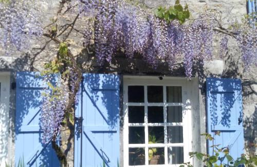 Genouille Bed & Breakfast | Chat Noir Gite et Chambre D'Hotes